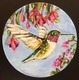 Humming Bird Bliss - sold